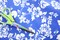 1 Yard Tropical Blue Hibiscus Floral Spandex Fabric Four Way Stretch Activewear Swimwear Costume Leggings Material 58/60 Inch Width